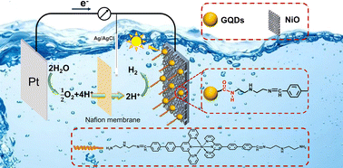 Graphical abstract: Nickel molecular catalyst grafted graphene quantum dots on porous NiO as a photocathode for H2 evolution under visible light