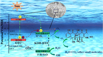 Graphical abstract: Construction of titanium-based nanomaterials with a coral-like HTiOF3 template and their photocatalytic performance