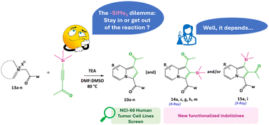 Graphical abstract: 1,3-Dipolar cycloaddition of cycloimmonium salts and 4-(trimethylsilyl)-3-butyn-2-one to access new functionalized indolizines with potential cytostatic activity