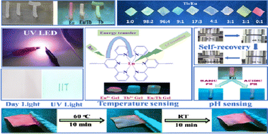 Graphical abstract: Strain sensing multi-stimuli responsive light emitting lanthanide-based tough and stretchable hydrogels with tunable luminescence and fast self-recovery using metal–ligand and hydrophobic interactions