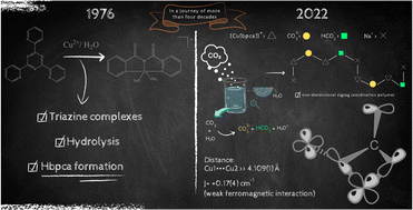 Graphical abstract: Carbon dioxide uptake by [Cu(bpca)]+: synthesis, crystal structure, and magnetic properties of {[Na(H2O)2][Cu2(bpca)2(CO3)(HCO3)]}n [Hbpca = bis(2-pyridylcarbonyl)amide]