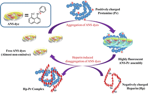 Graphical abstract: Aggregation assisted turn-on response of ANS dye towards protamine