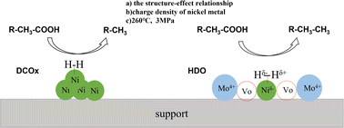 Graphical abstract: Hydrodeoxygenation of oleic acid over NiMo bimetallic catalysts supported on niobium phosphate