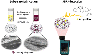 Graphical abstract: A label-free and selective SERS-based sensor for determination of ampicillin contamination in water using a fabric gold–silver alloy substrate with a handheld Raman spectrometer