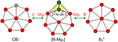 Graphical abstract: A plier-shaped binary molecular wheel B7Mg4+ cluster: hybrid in-plane heptacoordination, double π/σ aromaticity, and electronic transmutation