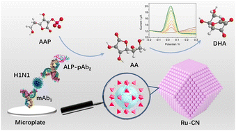 Graphical abstract: Ultrasensitive electrochemical immunoassay for screening the influenza A (H1N1) virus based on atomically Ru-dispersed nitrogen-doped carbon
