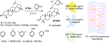 Graphical abstract: One-pot synthesis of quaternary pyridinium salts of lupane triterpenoids and their antimicrobial properties