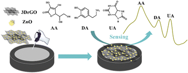 Graphical abstract: A 3D reduced graphene oxide and flower-like ZnO crystal composite for electrochemical detection of reducing small biomolecules