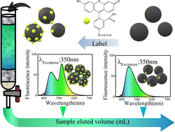 Graphical abstract: The preparation of an FITC-carbon dot nanocomposite and using a C-18 reverse phase column to improve the Hg2+ ion sensitivity of the FITC-carbon dot ratiometric fluorescent sensor