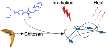 Graphical abstract: Improving photothermal effects of an organic photothermal agent using a chitosan hydrogel