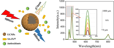 Graphical abstract: Ratiometric fluorescence sensing based on rare-earth upconversion nanoparticles for the rapid identification of antioxidant capacity