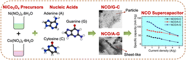 Graphical abstract: Exploring the electrochemical characteristics of the nucleobase-template assisted NiCo2O4 electrode for supercapacitors