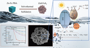 Graphical abstract: Prussian blue analogue in situ derived hierarchical flower-like ZnS/FeS2 Z-scheme heterojunction for boosted visible-light responsive photocatalytic degradation of Rhodamine B with synergistic peroxydisulfate activation