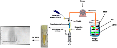 Graphical abstract: Development of a CSDF-ME method using a new deep eutectic solvent for the microextraction and determination of antibiotic drugs in wastewater and urine samples