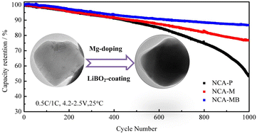 Graphical abstract: Excellent electrochemical properties of Ni-rich LiNi0.88Co0.09Al0.03O2 cathode materials co-modified with Mg-doping and LiBO2-coating for lithium ion batteries