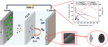 Graphical abstract: Three-dimensional hierarchical flower-like bimetallic–organic materials in situ grown on carbon cloth and doped with sulfur as an air cathode in a microbial fuel cell