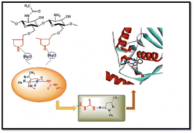 Graphical abstract: Use of a bioresource nanocomposite as a heterogeneous base catalyst for the green synthesis of novel bioactive pyrazoles: antibacterial evaluation using molecular docking