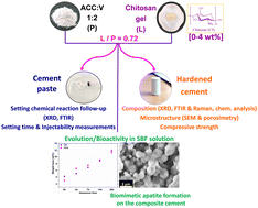 Graphical abstract: On the physicochemical properties, setting chemical reaction, and in vitro bioactivity of aragonite–chitosan composite cement as a bone substitute