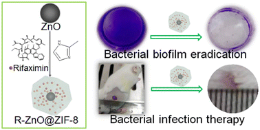 Graphical abstract: Synthesis of rifaximin-loaded ZnO@ZIF-8 nanocomposites for Staphylococcal biofilm eradication and related infection therapy