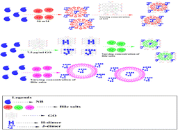 Graphical abstract: Influence of graphene oxide on the bile salts–ligand interaction: a spectroscopy study