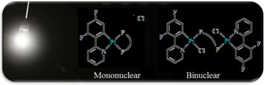 Graphical abstract: Phosphorescent Pt(ii) complexes bearing cyclometalated difluorophenylpyridinate and diphosphine building blocks