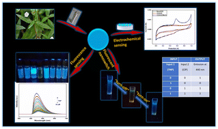 Graphical abstract: Biomass-derived carbon dots as a nanoswitch, logic gate operation, and electrochemical sensor for flavonoids
