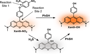 Graphical abstract: A xanthene-based probe with dual reaction sites enables fluorescence turn-on detection of thiophenol in an aqueous medium