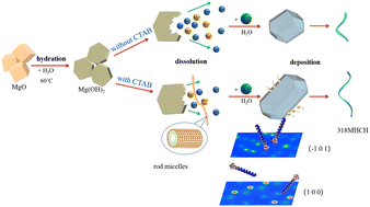 Graphical abstract: CTAB assisted synthesis of ultra-high aspect ratio 3Mg(OH)2·MgCl2·8H2O nanowires