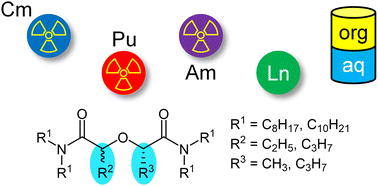 Graphical abstract: Synthesis and evaluation of new modified diglycolamides with different stereochemistry for extraction of tri- and tetravalent metal ions