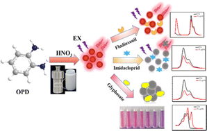 Graphical abstract: Red emissive carbon dots with an ultra-large Stokes shift for the multi-channel detection of pesticides