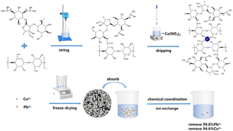 Graphical abstract: Effective removal of lead and copper ions from water using a novel sodium alginate–streptomycin sulfate composite aerogel