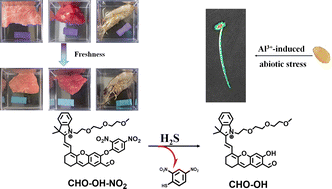 Graphical abstract: A near-infrared fluorescent probe for detection of H2S and its application in monitoring meat freshness and plant growth under aluminium-induced stress