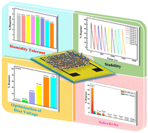 Graphical abstract: Flexible humidity-tolerant γ-Fe2O3-rGO-based nanohybrids for energy efficient selective NO2 gas sensing