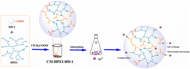 Graphical abstract: Effective adsorption of In(iii) from hydrochloric acid solution using hyperbranched polyethyleneimine and sodium chloroacetate modified weakly acidic macroporous resin