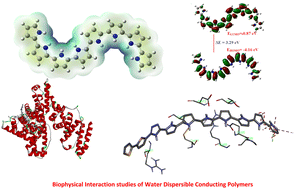 Graphical abstract: Synthesis, characterization, and biophysical interaction studies of water-dispersible polypyrrole/polythiophene co-oligomers with bovine serum albumin and human serum albumin: an experimental and theoretical approach