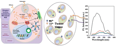 Graphical abstract: Synthesis, characterization and in vitro anticancer analysis of PEG-capped Mn-doped TiO2 nanoparticles against hepatocellular carcinoma cells