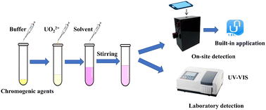 Graphical abstract: Smartphone-assisted colorimetric determination of uranyl ions in aqueous solutions