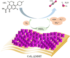 Graphical abstract: Adsorption-enhanced rapid catalytic degradation of ofloxacin by a CoS2@montmorillonite catalyst via peroxymonosulfate activation