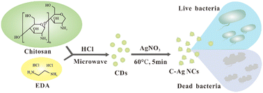 Graphical abstract: Facile carbon–silver nanocomposites based on polysaccharide-derived carbon dots for antibacterial applications