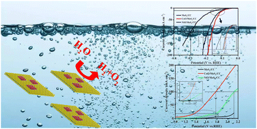 Graphical abstract: In situ electrochemical metal (Co, Ni) oxide deposition on MoS2 nanosheets for highly efficient electrocatalytic water splitting