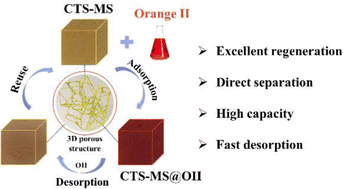 Graphical abstract: Excellent regeneration, easy separation and high capacity of 3D chitosan–melamine sponge composites for anionic dye removal