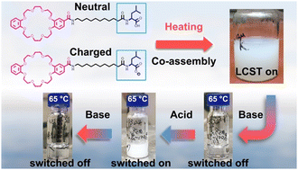 Graphical abstract: pH-Responsive lower critical solution temperature behaviour of a dibenzo-24-crown-8 based low-molecular-weight gelator in water