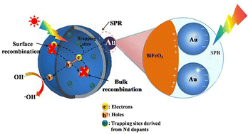 Graphical abstract: Synergistic effect of Nd doping and plasmonic Au nanoparticles on BiFeO3 thin film photoanodes for enhancing photoelectrochemical performance