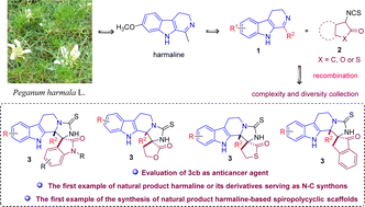 Graphical abstract: Design, synthesis and evaluation of multi-pharmacophore-containing spiropolycyclic harmaline-based hybrids as anticancer agents