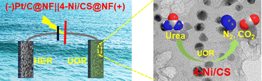 Graphical abstract: Facile and scalable synthesis of 2D porous Ni/C via a salt-template assisted approach for enhanced urea oxidation reaction and energy-saving hydrogen production