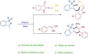 Graphical abstract: Synthesis of functionalized 1,4-dihydropyridines containing benzosultams catalyzed by lipase