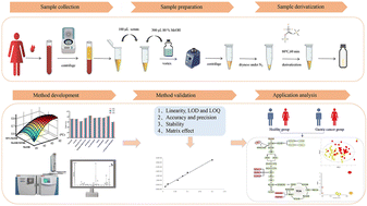 Graphical abstract: Optimization of a quantitative protocol for the intermediate metabolites of the glycolysis pathway in human serum using gas chromatography–mass spectrometry