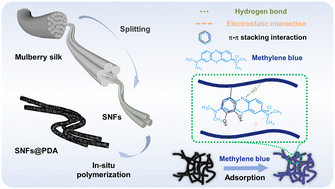 Graphical abstract: Mussel-inspired polydopamine-modified silk nanofibers as an eco-friendly and highly efficient adsorbent for cationic dyes