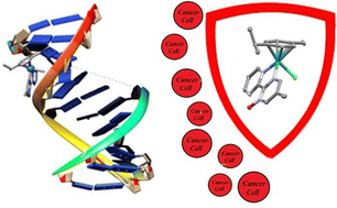 Graphical abstract: Synthesis of a half-sandwich complex of ruthenium(ii) with a nonsymmetric bis-nitrogen donor ligand: biological investigations