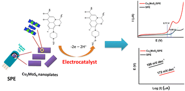 Graphical abstract: Copper molybdenum sulfide (Cu2MoS4) nanoplates as a proficient electrocatalytic interface for enhancing the electrochemical redox signals of ofloxacin for detection in pharmaceutical samples